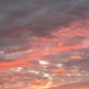 Meet your Posher, Roberta